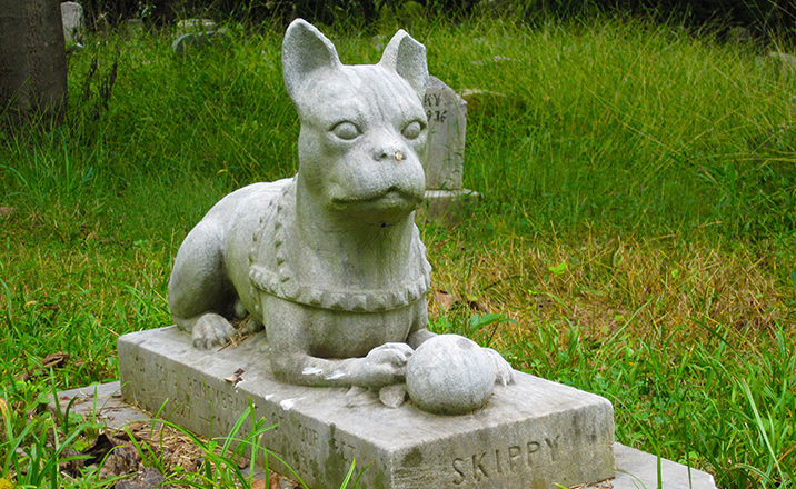 Pet funeral ceremonies, statue of a dog