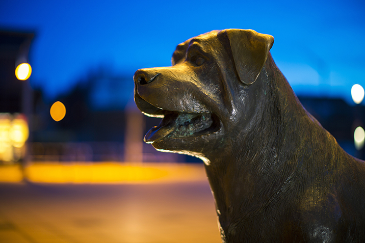Pet funeral ceremonies, dog statue