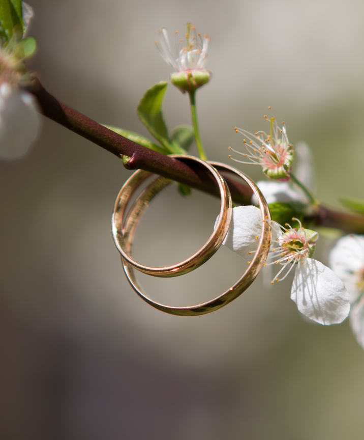Paola Minussi Lay Humanist Celebrant, rings